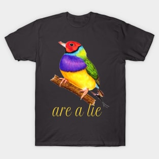 ARE A LIE T-Shirt